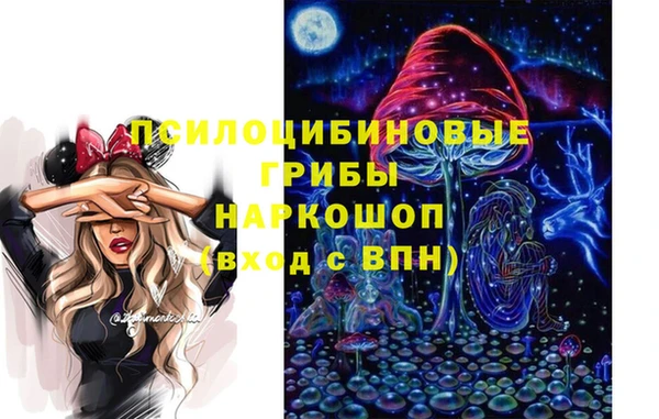 дурь Бронницы