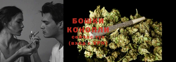 ПСИЛОЦИБИНОВЫЕ ГРИБЫ Верхний Тагил