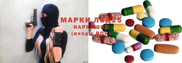 ПСИЛОЦИБИНОВЫЕ ГРИБЫ Верхний Тагил