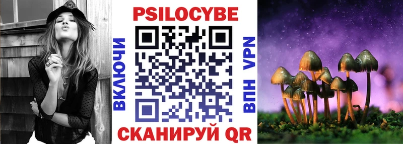 Купить закладки  Салехард  Псилоцибиновые грибы GOLDEN TEACHER 