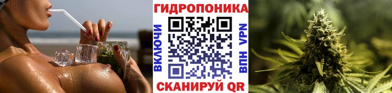 Купить закладки  Салехард  МАРИХУАНА планчик 
